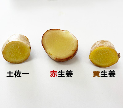 生姜3種