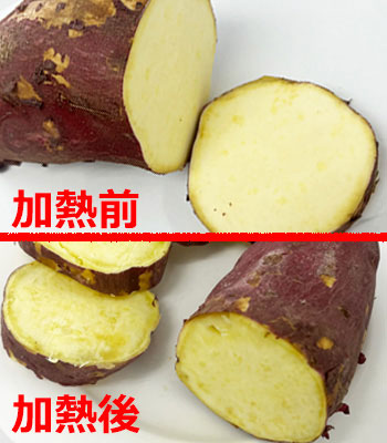 坂出金時比較