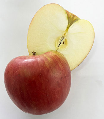 青森サンつがる0908