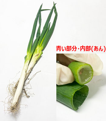 岩津ねぎあん1203