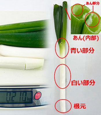 栗原ねぎ1218