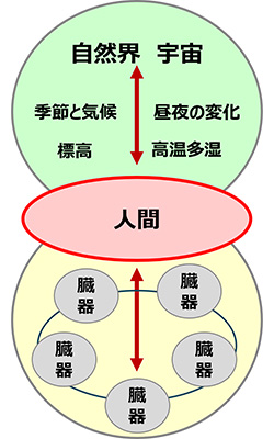 自然の摂理の図