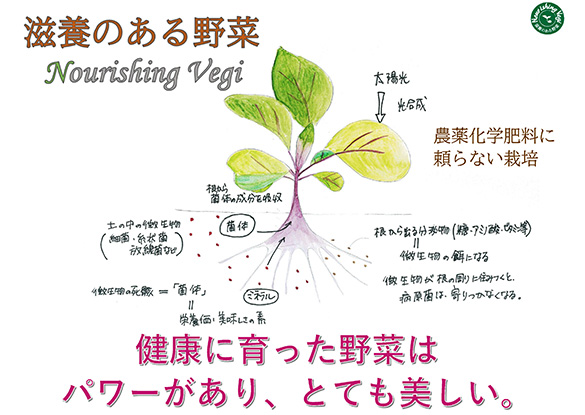 NourishingVegiマーク