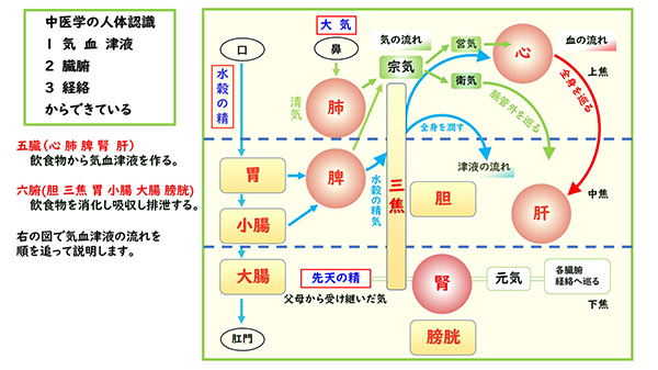 気血水の流れ