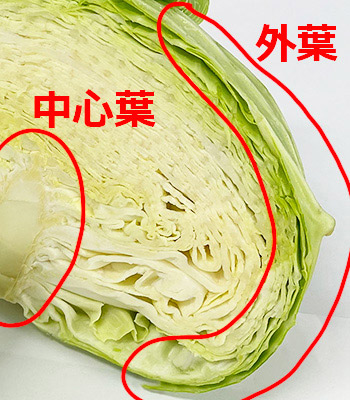 ���؂���̃L���x�c