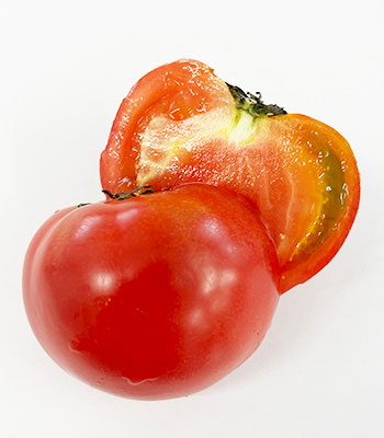 小林さんとまと0715