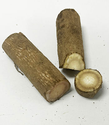 和田さん細ごぼう