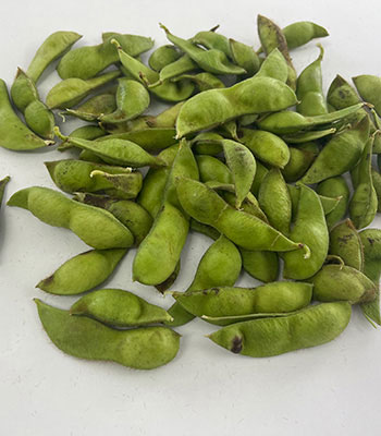 森下さん黒枝豆1009