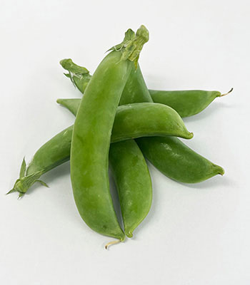 ながさき南部スナップエンドウ0409