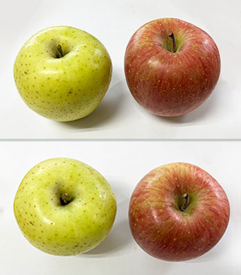 王林さんふじ1224