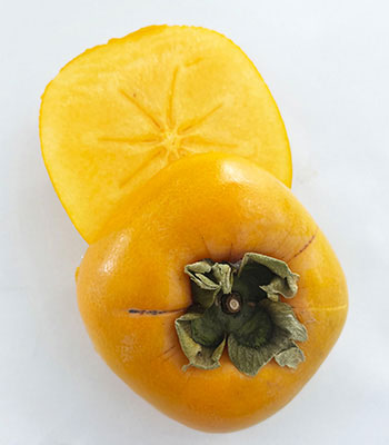 萩本さん刀根柿1008