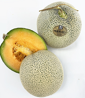 坂本さん0725