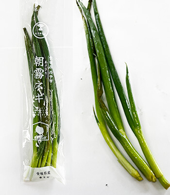 ノムランド0226