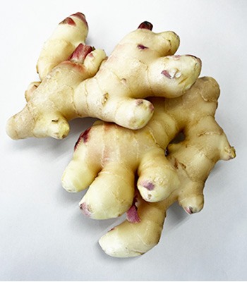 西川商店さん0403